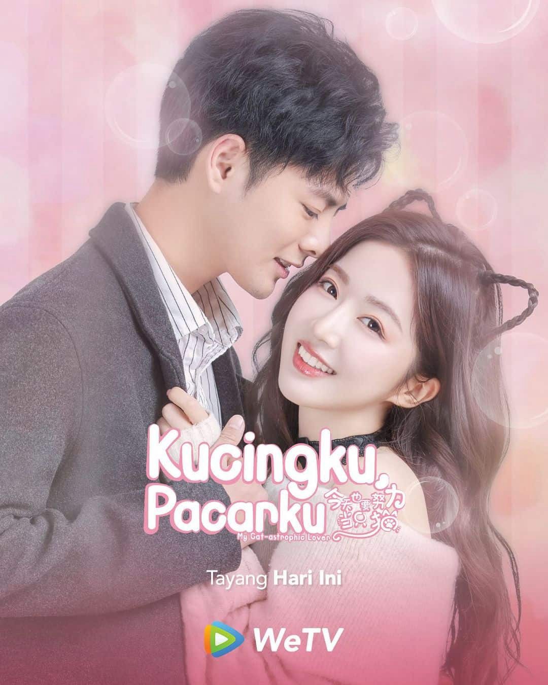 Bạn Gái Tôi Là Một Chú Mèo - My Cat-astrophic Lover